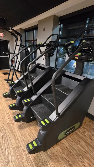 The Bodi HQ Picture 6