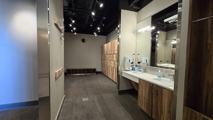 The Bodi HQ Picture 7