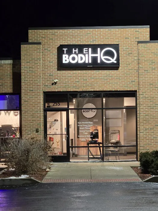 The Bodi HQ Picture 8