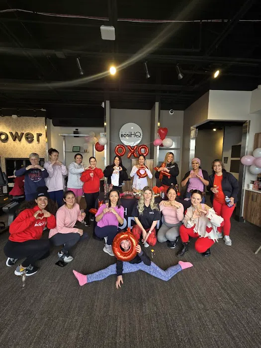 The Bodi HQ Picture 10