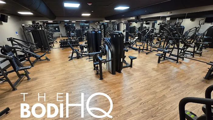 The Bodi HQ Picture 5