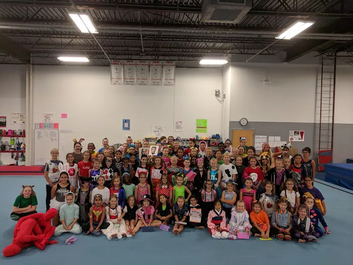 Midwest Elite Gymnastics Academy Picture 6