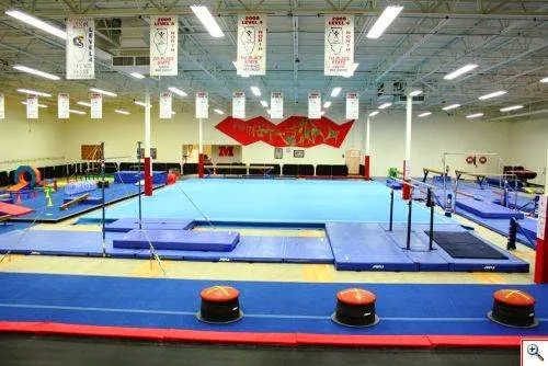 Midwest Elite Gymnastics Academy Picture 10