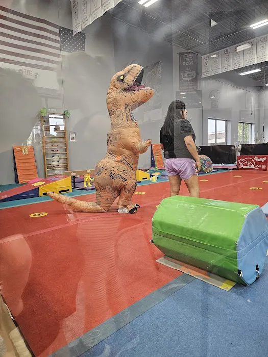 Midwest Elite Gymnastics Academy Picture 4