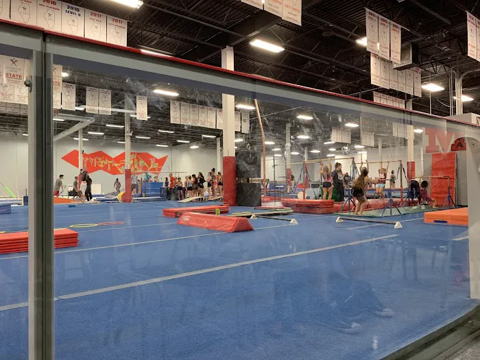 Midwest Elite Gymnastics Academy Picture 9