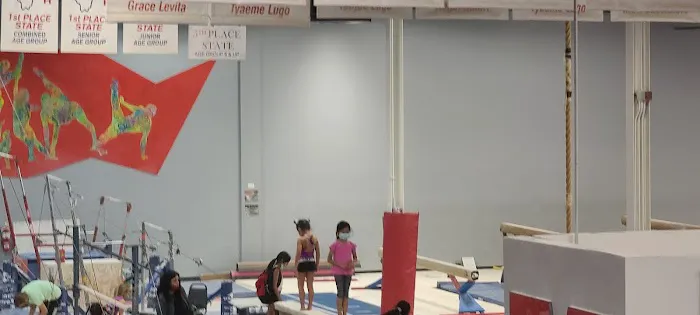 Midwest Elite Gymnastics Academy Picture 2