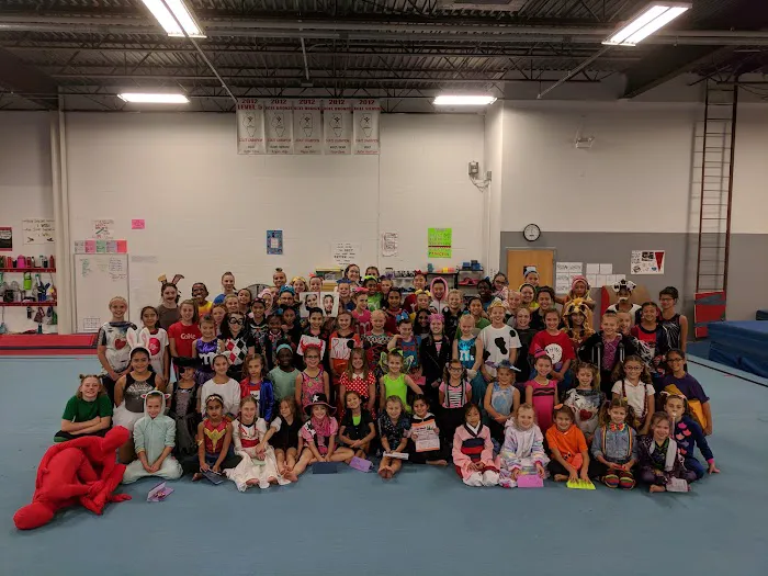 Midwest Elite Gymnastics Academy Picture 5