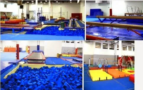 Midwest Elite Gymnastics Academy Picture 3