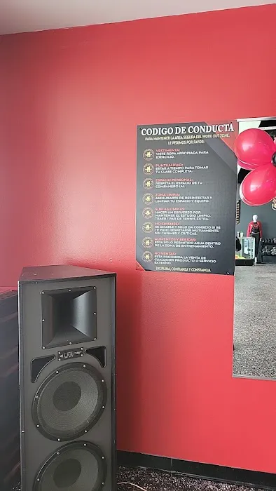 The Work Out Zone Fitness & Nutrition Picture 2