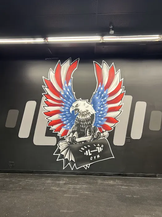 Iron Lab Gym Picture 7