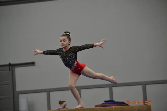 Gymnastics Academy of Rockford Picture 2