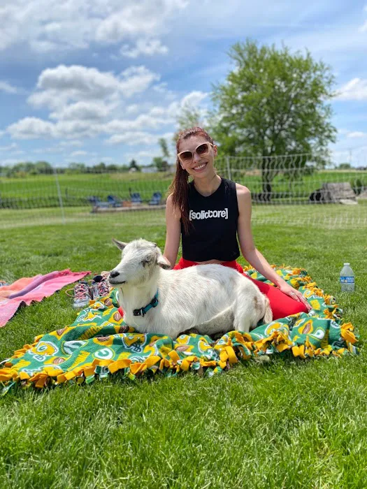 Goat Yoga Chicago - Elgin, Illinois Picture 2