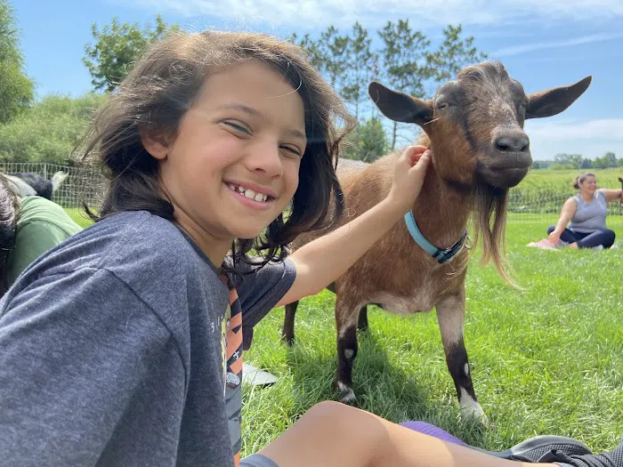 Goat Yoga Chicago - Elgin, Illinois Picture 7