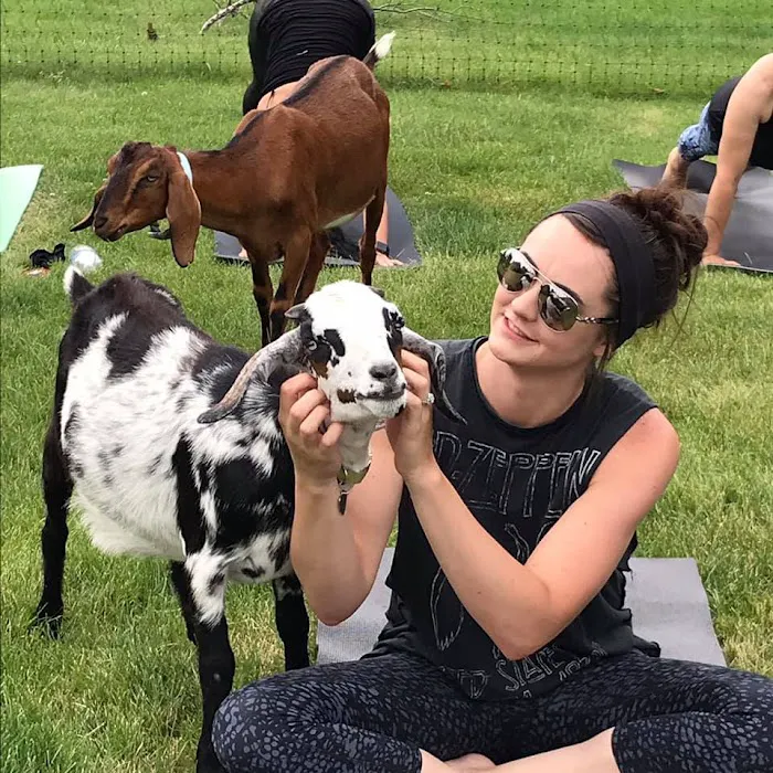 Goat Yoga Chicago - Elgin, Illinois Picture 10