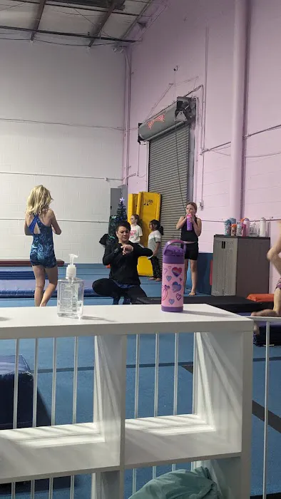 Royalty Gymnastics, Tumble & Dance Picture 6