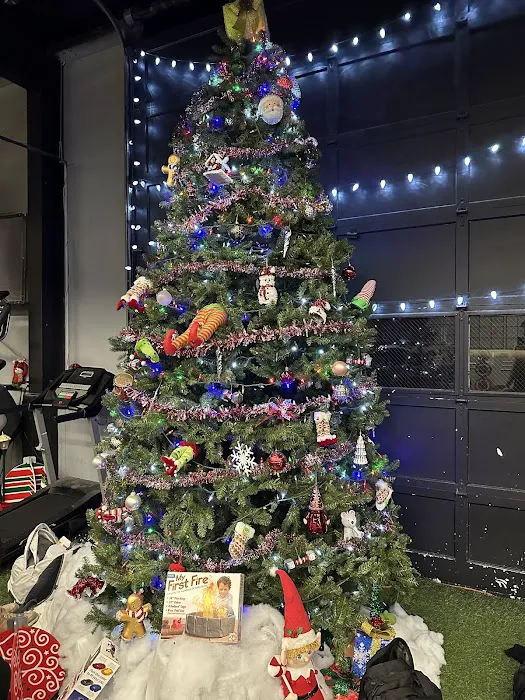 Warhouse Barbell Picture 10