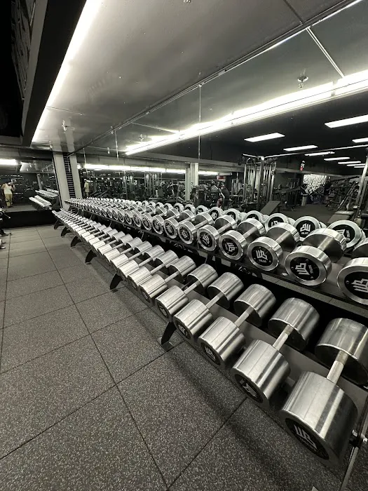 Warhouse Barbell Picture 7