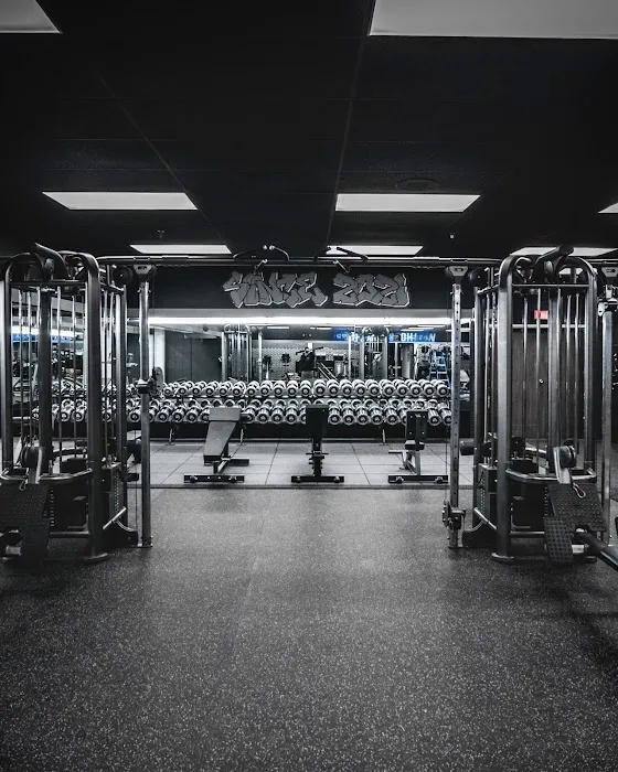 Warhouse Barbell Picture 2