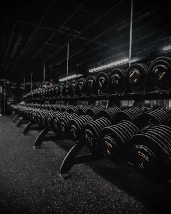 Warhouse Barbell Picture 4