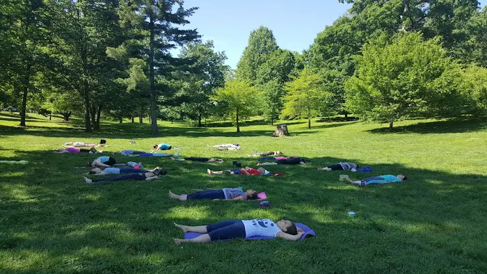 Yoga In DeMun Picture 6