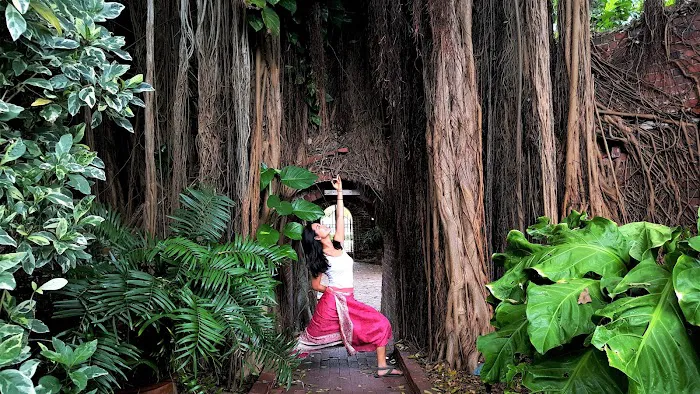 Yoga In DeMun Picture 10