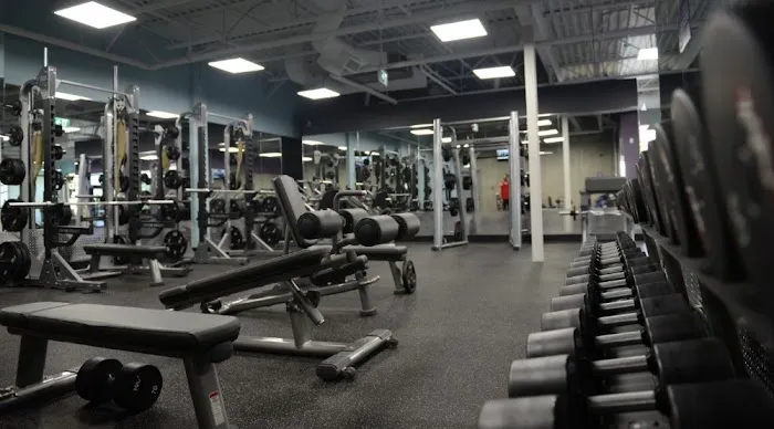 Anytime Fitness Picture 2