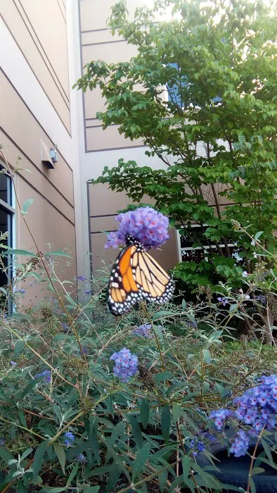 The J - St. Louis Fitness & Community Center Picture 5