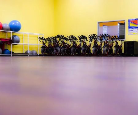 Fit City Gym
