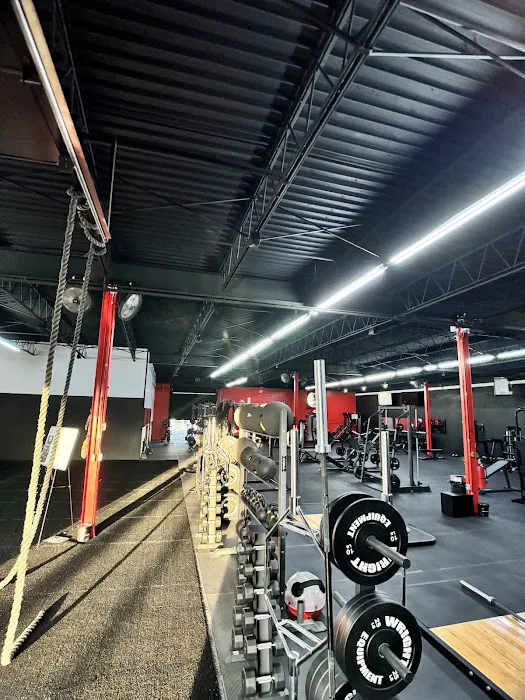 Ready Fitness Training Picture 1