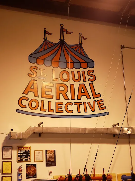 St. Louis Aerial Collective Picture 6