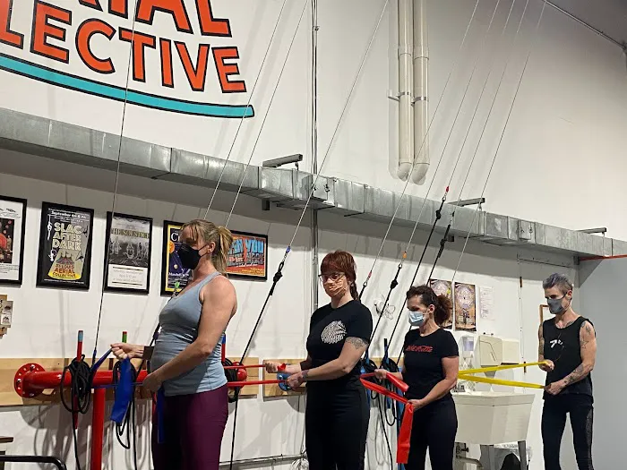 St. Louis Aerial Collective Picture 4