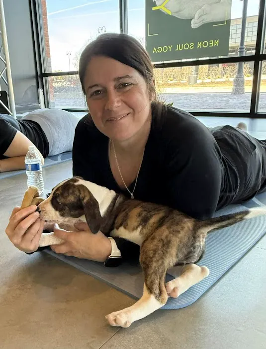 Goat Yoga Chicago - South Barrington, Illinois Picture 1