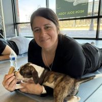 Goat Yoga Chicago - South Barrington, Illinois ico