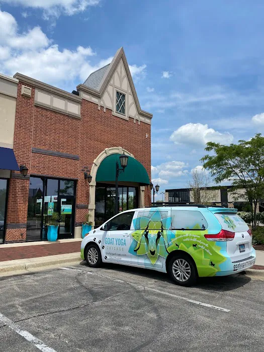 Goat Yoga Chicago - South Barrington, Illinois Picture 2