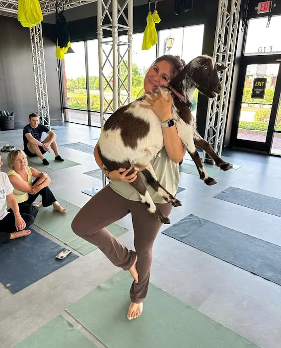 Goat Yoga Chicago - South Barrington, Illinois Picture 7