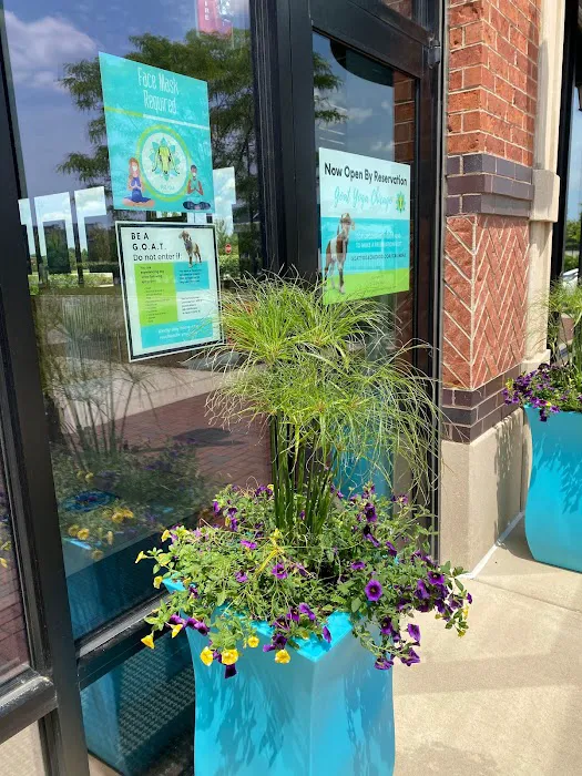 Goat Yoga Chicago - South Barrington, Illinois Picture 8