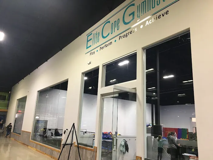 Elite Core Gymnastics Picture 3