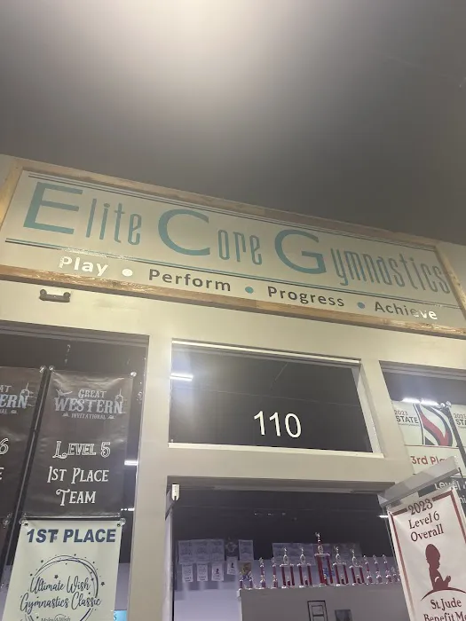 Elite Core Gymnastics Picture 6