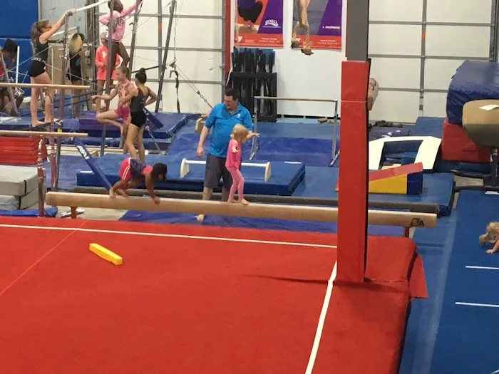Stateline YMCA Gymnastics Center Picture 2