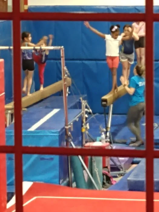 Stateline YMCA Gymnastics Center Picture 7