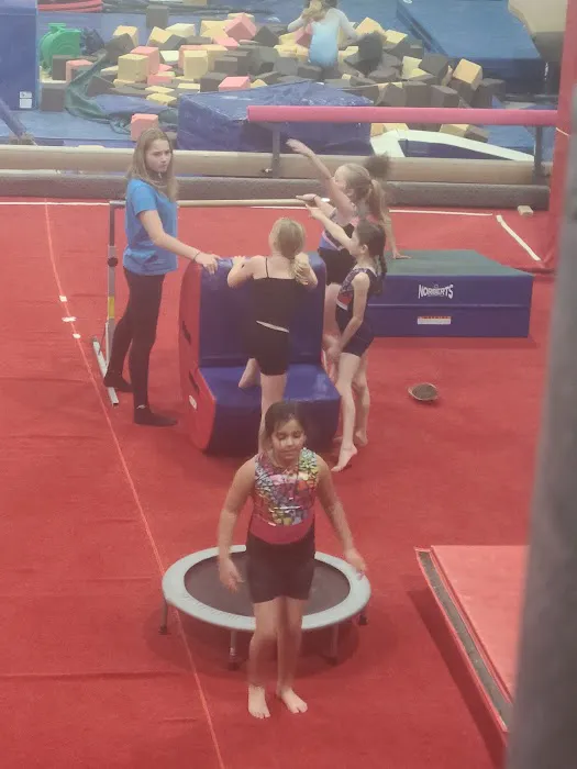 Stateline YMCA Gymnastics Center Picture 5