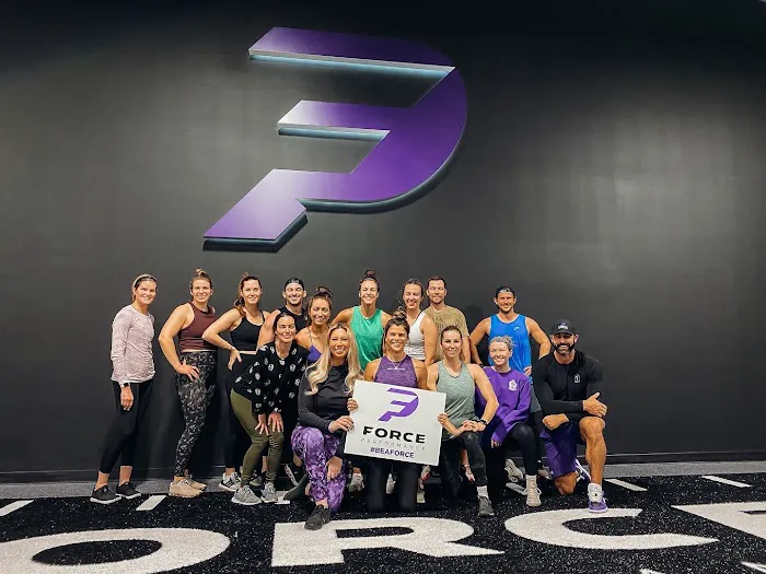 Force Performance Picture 3