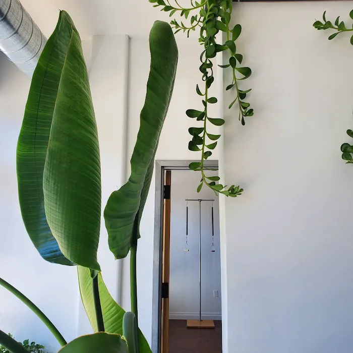 Freeman Pilates Picture 7