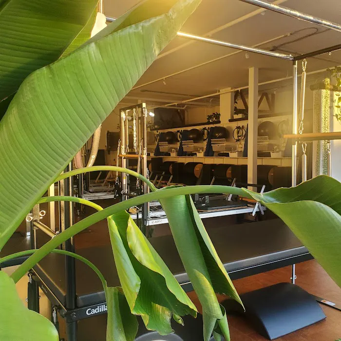 Freeman Pilates Picture 4