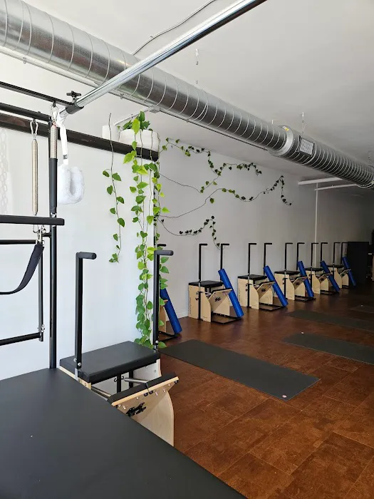 Freeman Pilates Picture 5