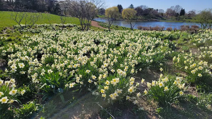 Chicago Botanic Garden Yoga, Tai Chi, Wellness, and Fitness Programs Picture 3