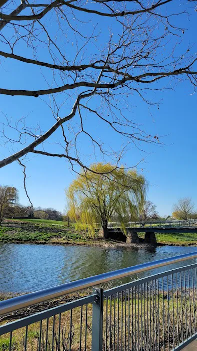 Chicago Botanic Garden Yoga, Tai Chi, Wellness, and Fitness Programs Picture 4