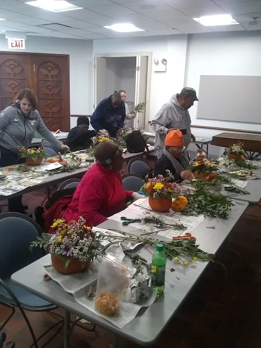 Chicago Botanic Garden Yoga, Tai Chi, Wellness, and Fitness Programs Picture 6