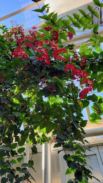 Chicago Botanic Garden Yoga, Tai Chi, Wellness, and Fitness Programs Picture 2