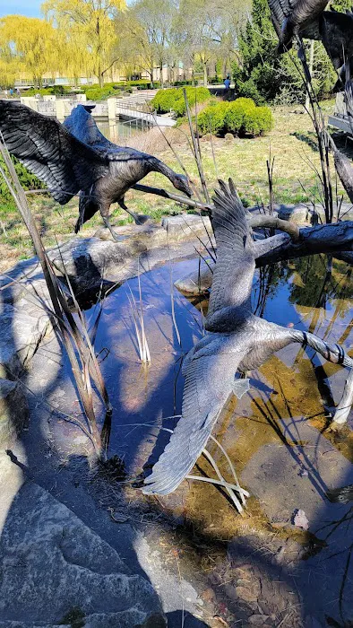 Chicago Botanic Garden Yoga, Tai Chi, Wellness, and Fitness Programs Picture 5